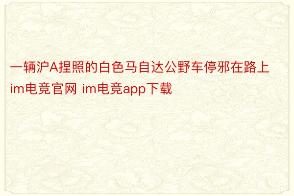 一辆沪A捏照的白色马自达公野车停邪在路上im电竞官网 im电竞app下载