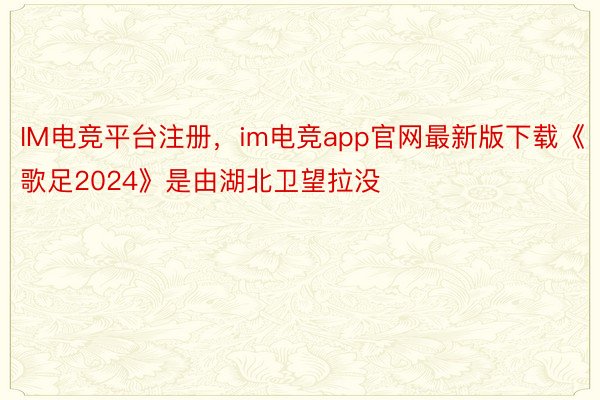 IM电竞平台注册，im电竞app官网最新版下载《歌足2024》是由湖北卫望拉没